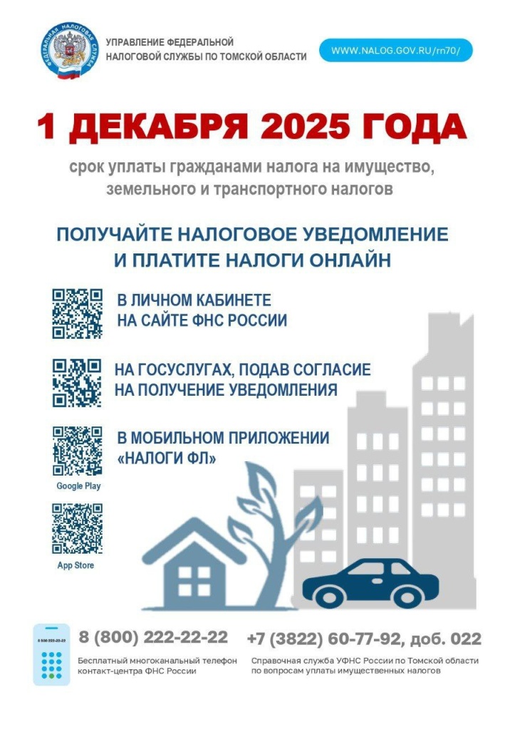 2025-11-25 15.36.41.jpg