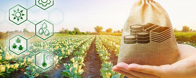 В 2024 году начинающим фермерам выделят 10 млн рублей