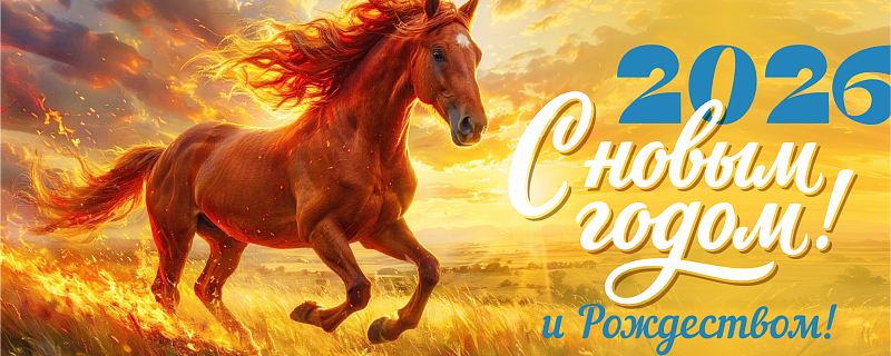 С наступающим Новым годом!